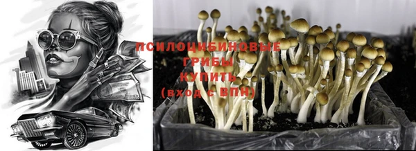 гашиш Абинск
