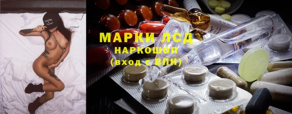 PSILOCYBIN Чекалин