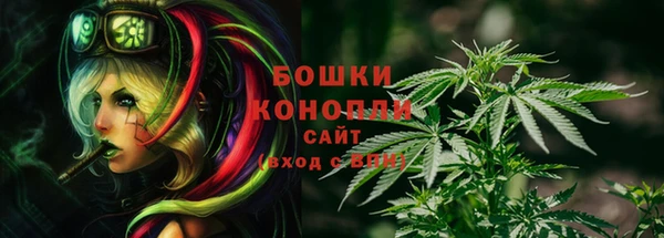 PSILOCYBIN Чекалин